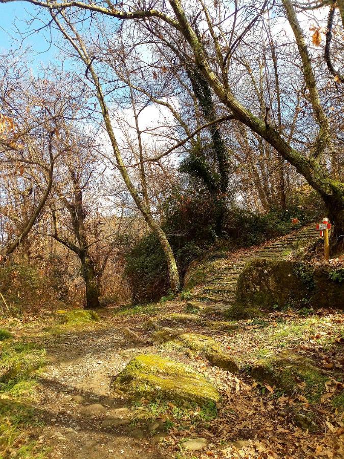 Da Greta Villa La Spezia Exteriör bild